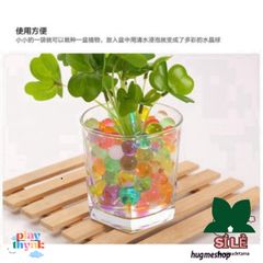 Gói 5000 Viên Hạt Nở Màu Sắc Trang Trí Nhà Cửa - Hạt Nở Siêu Đẹp Cho Tiểu Cảnh Sống Động