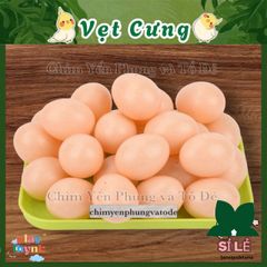 Trứng Gà Nhựa Giả - Công Cụ Tập Ấp và Trang Trí Nghệ Thuật DIY An Toàn Cho Gà Mái, Chất Liệu Bền Bỉ, Kích Thước Thực