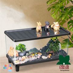 Bể Nuôi Côn Trùng FOUNDTWO - Terrarium Trong Suốt An Toàn Cho Thằn Lằn và Nhện, Dễ Quan Sát và Thoáng Khí