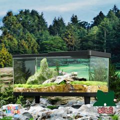 Bể Nuôi Côn Trùng FOUNDTWO - Terrarium Trong Suốt An Toàn Cho Thằn Lằn và Nhện, Dễ Quan Sát và Thoáng Khí
