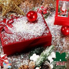 Bột Tuyết Nhân Tạo WAPKTY 50g - Bông Tuyết Trang Trí Giáng Sinh DIY, Bột Tuyết Giả Magic Snow Dùng Để Tạo Không Khí Lễ Hội