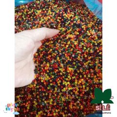 Combo 24 Gói Hạt Nở Trang Trí Cây Cảnh - Sắc Màu Không Gian Sống Thêm Tươi Sáng