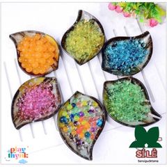 Combo 24 Gói Hạt Nở Trang Trí Cây Cảnh - Sắc Màu Không Gian Sống Thêm Tươi Sáng