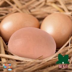 Bộ 10 Trứng Giả LYXOR - Đồ Chơi Mô Phỏng Giáo Dục Chăn Nuôi Cho Trẻ Em - Trứng Phục Sinh Nhân Tạo 5,5 cm