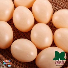 Bộ 10 Trứng Giả LYXOR - Đồ Chơi Mô Phỏng Giáo Dục Chăn Nuôi Cho Trẻ Em - Trứng Phục Sinh Nhân Tạo 5,5 cm