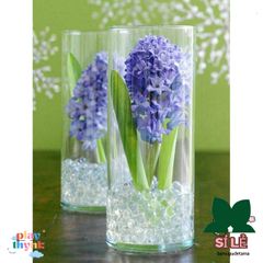 Hạt Tinh Thể Trồng Cây - Gói 200-220 Hạt Trân Châu Pha Lê Chăm Sóc Cây, Tạo Không Gian Sống Xanh Thoáng Mát, Dinh Dưỡng Tự Nhiên