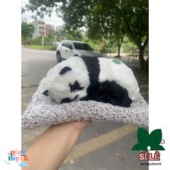 Thú Bông Khử Mùi Chó Mèo Than Hoạt Tính - Trang Trí Xe Ô Tô & Không Gian Làm Việc - An Toàn & Dễ Thương cho Trẻ Nhỏ