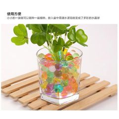 Hạt Nở Đa Sắc 5000 Viên - Trang Trí Nhà Cửa, Làm Tiểu Cảnh, Trồng Cây Thú Vị và Sáng Tạo Slime