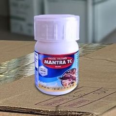 Thuốc Trừ Mối MANTRA TC 30.5SC 500ml – An Toàn, Không Mùi, Hiệu Quả Cao Cho Công Trình Xây Dựng Nhập Khẩu Từ Ấn Độ