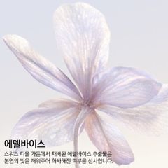 Phấn Nước Dior Diorsnow UV Shield Cushion Tone C10 - Phấn Trang Điểm Chống Nắng Cao Cấp, Bảo Vệ Da Tối Đa, Làn Da Rạng Ngời