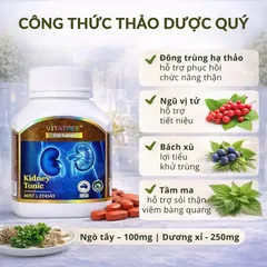 Vitatree Kidney Tonic 100 Viên - Viên Uống Hỗ Trợ Sức Khỏe Thận Từ Thiên Nhiên, Thanh Lọc Cơ Thể, Sản Phẩm Úc.