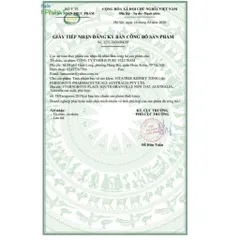 Vitatree Kidney Tonic 100 Viên - Viên Uống Hỗ Trợ Sức Khỏe Thận Từ Thiên Nhiên, Thanh Lọc Cơ Thể, Sản Phẩm Úc.