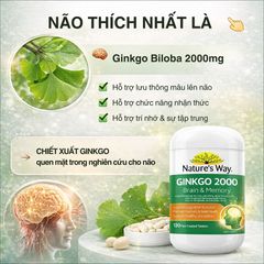 Viên Uống Bổ Não Nature's Way Ginkgo 2000 Úc - Tăng Cường Trí Nhớ và Tập Trung, Hỗ Trợ Tuần Hoàn Não Khỏe Mạnh