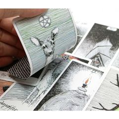 Bộ Bài The Wild Unknown Tarot - Thẻ Bài Dự Đoán Vận Mệnh Cao Cấp 78 Lá, Thiết Kế Trừu Tượng Động Thực Vật, Tác Giả Kim Krans