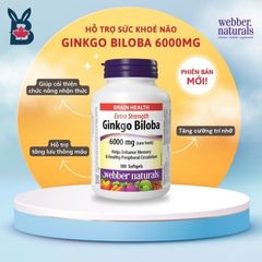 (Hàng công ty) Vỉ Uống Bổ Não Ginkgo Biloba 6000mg Webber Naturals 300 Viên - Tăng Cường Trí Nhớ và Tập Trung, Hỗ Trợ Sức Khỏe Tâm Thần từ Canada chính hãng 725956