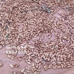 Đậu Phộng Quê 1KG - Lạc Sạch Không Thuốc, Hạt Tươi Nguyên Chất Trồng Xen Cà Phê, Thực Phẩm Bổ Dưỡng Khoa Học Từ Daklak