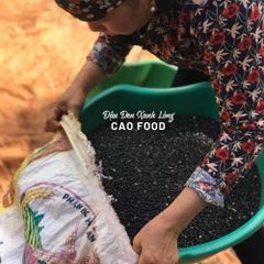 Đậu Đen Xanh Lòng CAO Hữu Cơ 1KG - Giống Nguyên Bản, Sạch 100% Không Biến Đổi Gen, Tươi Mới từ Đaklak Việt Nam