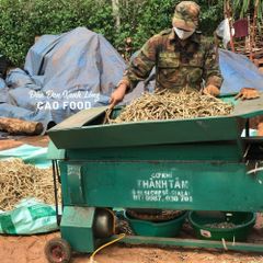 Đậu Đen Xanh Lòng CAO Hữu Cơ 1KG - Giống Nguyên Bản, Sạch 100% Không Biến Đổi Gen, Tươi Mới từ Đaklak Việt Nam