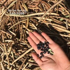 Đậu Đen Xanh Lòng CAO Hữu Cơ 1KG - Giống Nguyên Bản, Sạch 100% Không Biến Đổi Gen, Tươi Mới từ Đaklak Việt Nam