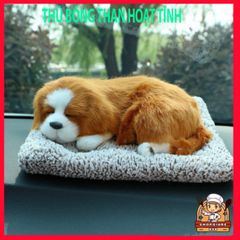 Gấu Bông Chó Mèo Than Hoạt Tính - Khử Mùi và Trang Trí Xe Hơi, Kích Thước 28x20cm hoặc 14x17cm, 99% Giống Thật