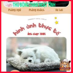 Gấu bông than hoạt tính khử mùi ô tô - Phụ kiện trang trí xe con dễ thương, cải thiện không khí trong lành, mang lại sức khỏe tốt cho gia đình