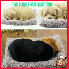 Gấu bông than hoạt tính khử mùi ô tô - Phụ kiện trang trí xe con dễ thương, cải thiện không khí trong lành, mang lại sức khỏe tốt cho gia đình