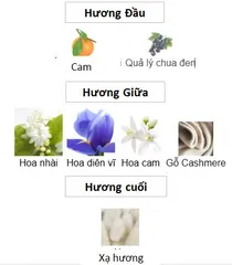 Nước Hoa Laverne Sense Eau de Parfum Nữ - Hương Hoa Cỏ Trái Cây Sang Trọng, Độ Bền Lên Đến 12 Giờ