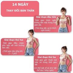 Đai Hỗ Trợ Lưng Điều Chỉnh Tư Thế - Giúp Giảm Đau Lưng, Thoải Mái, Dễ Dàng Sử Dụng Cho Mọi Lứa Tuổi