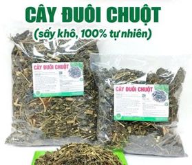 Trà Thảo Mộc Đuôi Chuột Hỗ Trợ Tim Mạch, Đường Huyết, Dạ Dày - Khô Sạch Thơm 500g