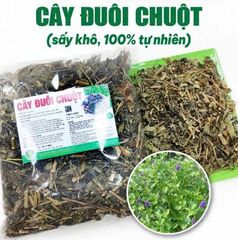 Trà Thảo Mộc Đuôi Chuột Hỗ Trợ Tim Mạch, Đường Huyết, Dạ Dày - Khô Sạch Thơm 500g