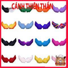 Cánh Thiên Thần Lông Vũ Nhiều Màu Sắc - Phụ Kiện Hóa Trang Độc Đáo Cho Trẻ Em & Người Lớn, Hoàn Hảo Cho Tiệc Tùng & Halloween