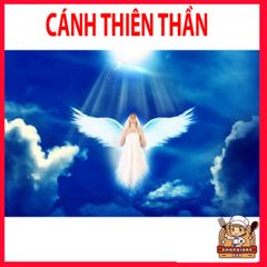 Cánh Tiên Lông Vũ Trắng Điều Chỉnh cho Thiếu Niên và Người Lớn - Đạo Cụ Chụp Ảnh và Biểu Diễn Thời Trang