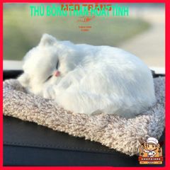 Thú Bông Than Hoạt Tính Khử Mùi - Phụ Kiện Ô Tô Dễ Thương, Lọc Không Khí, Tô Điểm Taplo Xe Hơi, Giúp Không Gian Trong Lành