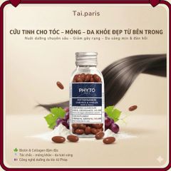 Viên Uống Dưỡng Tóc & Móng Phyto Phytophanere Hair & Nails - Hỗ Trợ Tóc Dày Khỏe, Móng Chắc Đẹp - 120 Viên Thực Phẩm Chức Năng