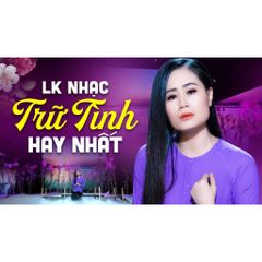 Đĩa CD LK Nhạc Trữ Tình Hay Nhất 2025 - Chất Lượng .WAV Cao, Tương Thích DVD, PC, Ô Tô - Hơn 13 Bài Nhạc được Yêu Thích