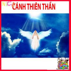 Đôi Cánh Thiên Thần Lông Ngỗng Trắng - Phụ Kiện Thời Trang Cho Giới Trẻ, Chụp Ảnh & Biểu Diễn Ấn Tượng