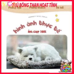 Gấu Bông Khử Mùi Than Hoạt Tính Dễ Thương - Phụ Kiện Trang Trí Ô Tô, Giúp Không Gian Sống Trong Lành và Đáng Yêu