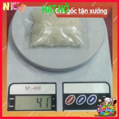 Hạt Nở V3 Trắng Ép 7-8mm - Đồ Chơi Giải Trí Siêu Cứng Dẻo Cho Trẻ Em và Người Lớn, Sáng TạoKhông Giới Hạn