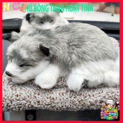 Thú Bông Khử Mùi Than Hoạt Tính - Gấu Cún Vàng Dễ Thương Hút Mùi Tự Nhiên Cho Không Gian Sống và Xe Ô Tô