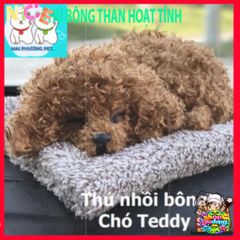Thú Bông Khử Mùi Than Hoạt Tính Dễ Thương - Trang Trí Ô Tô & Nhà, Lọc Không Khí & Dễ Thương cho Bé Yêu