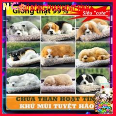 Thú Bông Khử Mùi Than Hoạt Tính - Chó Mèo Gấu Siêu Đáng Yêu Trang Trí Ô Tô, Gia Đình, Dễ Thương 99% Chân Thực