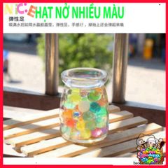Hạt Nở Thủy Sinh Đẹp Mắt - Trang Trí Cây Cảnh Không Cần Đất, Độ Bền Cao, Lựa Chọn Hoàn Hảo Cho Không Gian Sống