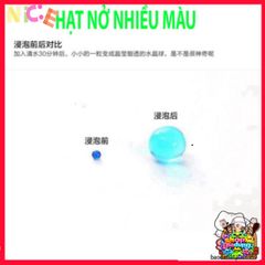 Hạt Nở Thủy Sinh Đẹp Mắt - Trang Trí Cây Cảnh Không Cần Đất, Độ Bền Cao, Lựa Chọn Hoàn Hảo Cho Không Gian Sống