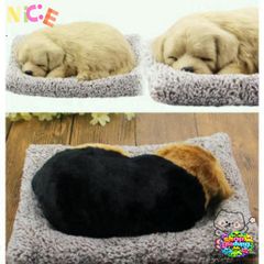 Thú Bông Decor Móc Xe Chó Mèo Gấu Super Real 99% - Khử Mùi Than Hoạt Tính, Trang Trí Xe Hơi Đáng Yêu, Không Gian Trong Lành