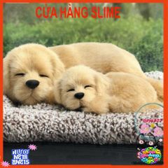 Thú Bông Khử Mùi M72 - Bộ Đôi Cún Mẹ Con Siêu Đáng Yêu Trang Trí Xe Hơi và Lọc Khí, Quà Tặng Tuyệt Vời Cho Trẻ Nhỏ
