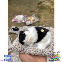 Mèo Bông Đen Trắng Khử Mùi Than Hoạt Tính - Thú Bông Dễ Thương Trang Trí Xe Hơi và Nhà Cửa, Giải Pháp Không Gian Sống Trong Lành