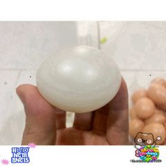 Trứng Gà Nhựa Giả 99% Độc Đáo - Trang Trí Nội Thất Tự Nhiên, Chất Liệu Bền Bỉ, Thích Hợp Cho Quán Cà Phê và Không Gian Sáng Tạo
