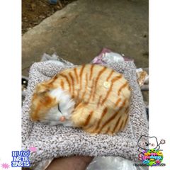Thú Bông Mèo Vằn Vàng Than Hoạt Tính - Đồ Trang Trí An Toàn, Hỗ Trợ Lọc Không Khí Cho Không Gian Sống Trong Lành 28x20cm