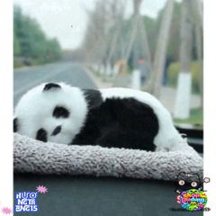 Thú Bông Chó Mèo Than Hoạt Tính - Trang Trí Ô Tô & Bàn Làm Việc, Khử Mùi Hiệu Quả, Thiết Kế Dễ Thương, Bảo Vệ Sức Khỏe Gia Đình