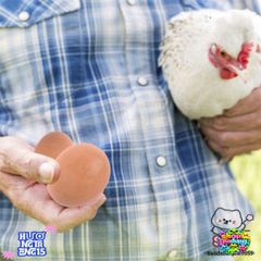 Bộ 10 Trứng Giả LINHU An Toàn Cho Trẻ - Đồ Chơi Sáng Tạo, Giúp Phát Triển Kỹ Năng Nấu Ăn Và Khả Năng Tưởng Tượng Trong Chơi Đùa